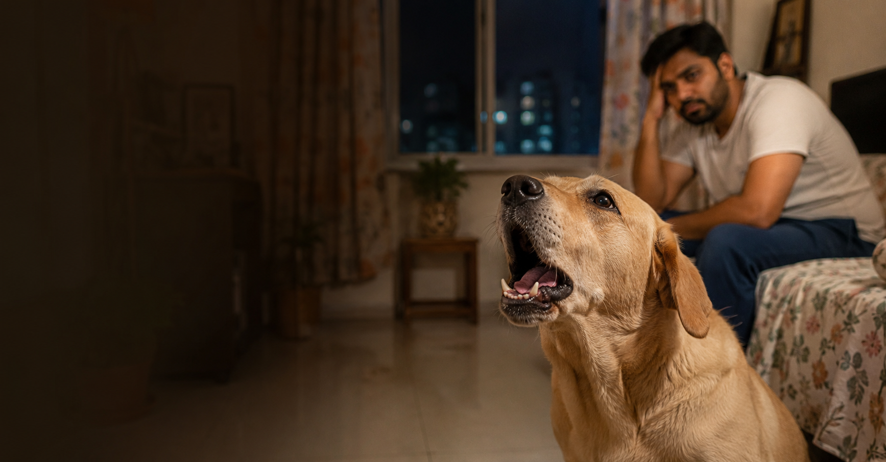 Why Does My Dog Bark All Night?