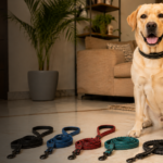 Best Training Leashes for Dogs in India Under Rs.1000