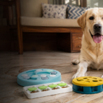 4 Best Puzzle Toys for Dogs in India to Reduce Boredom and Barking