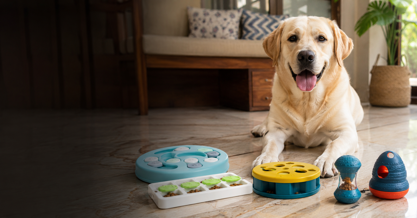 4 Best Puzzle Toys for Dogs in India to Reduce Boredom and Barking
